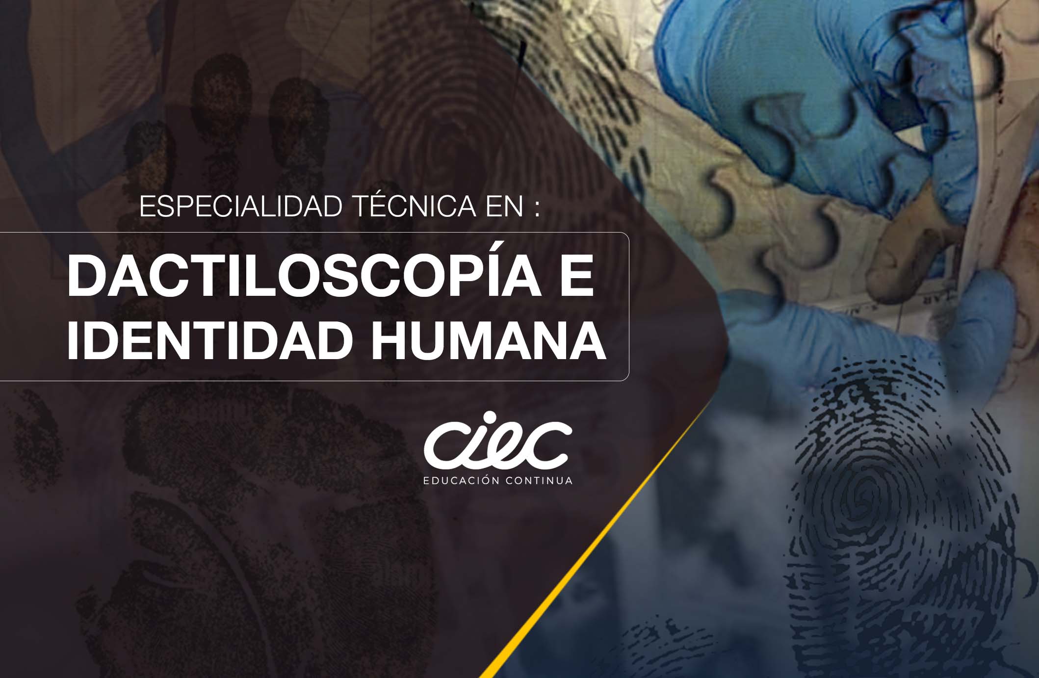 CURSO INTERNACIONAL DE ESPECIALIDAD TÉCNICA EN DACTILOSCOPIA E IDENTIDAD HUMANA
