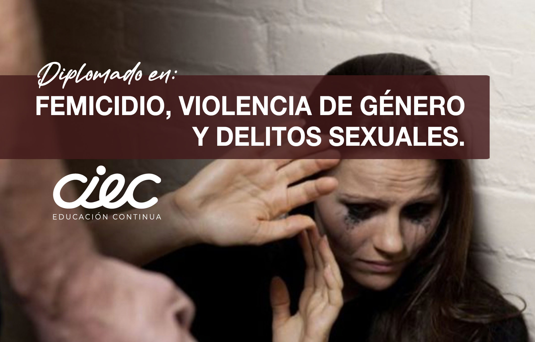 DIPLOMADO EN FEMICIDIO VIOLENCIA DE GENERO Y DELITOS SEXUALES