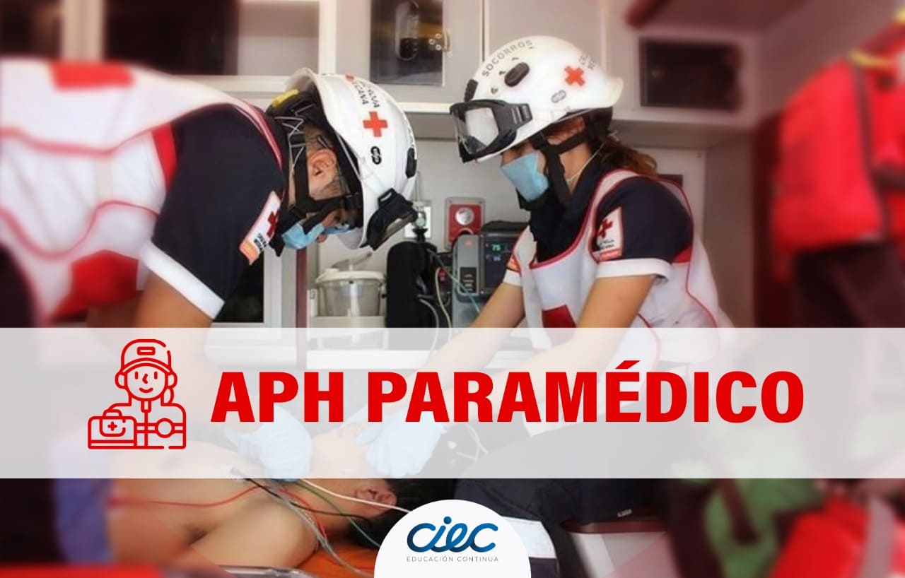 APH PARAMEDICOS ENERO