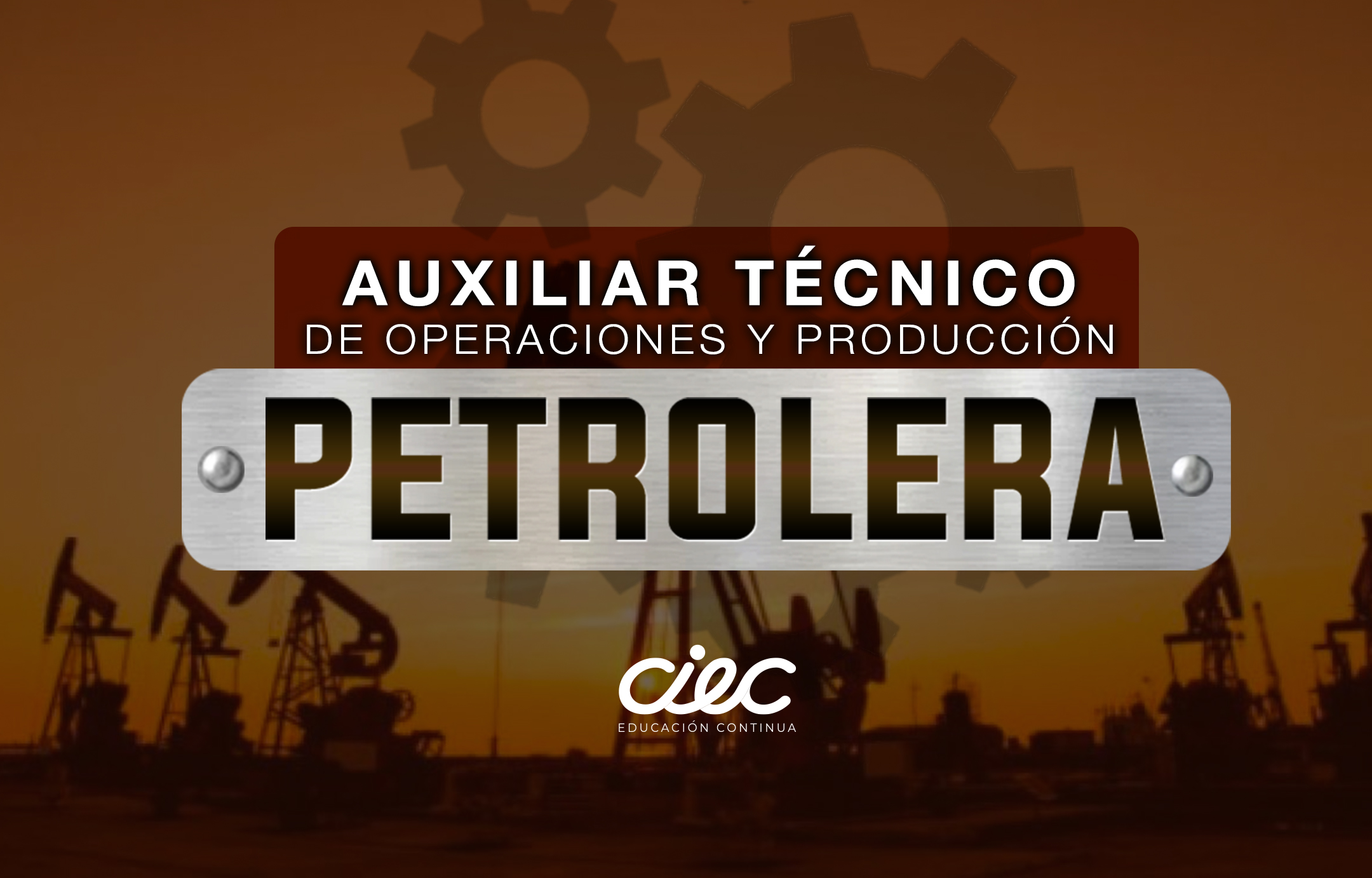 AUXILIAR TÉCNICO DE OPERACIONES Y PRODUCCIÓN PETROLERA