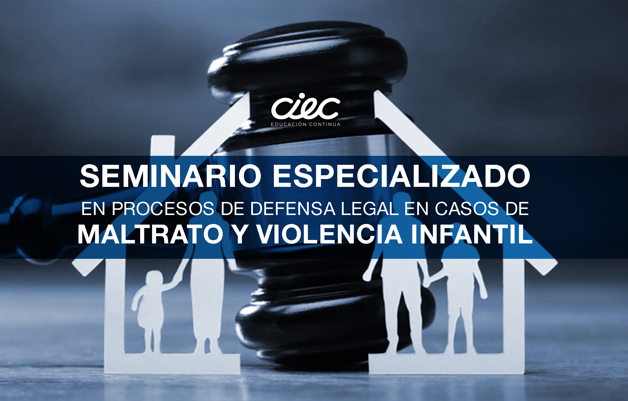 "SEMINARIO ESPECIALIZADO EN PROCESOS DE DEFENSA LEGAL EN CASOS DE MALTRATO Y VIOLENCIA INFANTIL"
