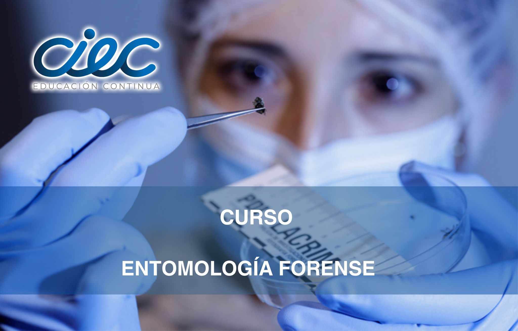 CURSO ENTOMOLOGÍA FORENSE
