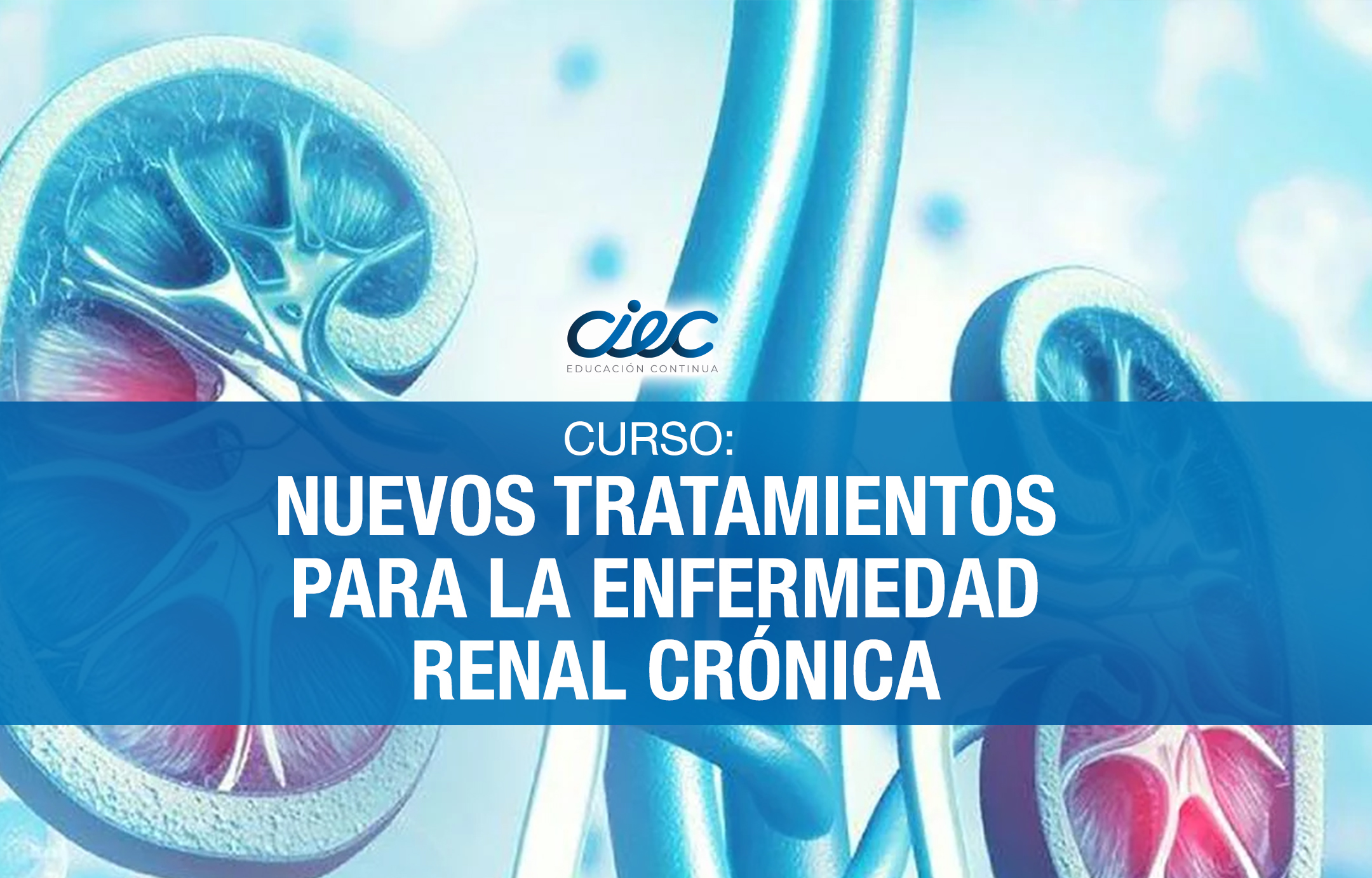 CURSO Nuevos tratamientos para la enfermedad renal crónica