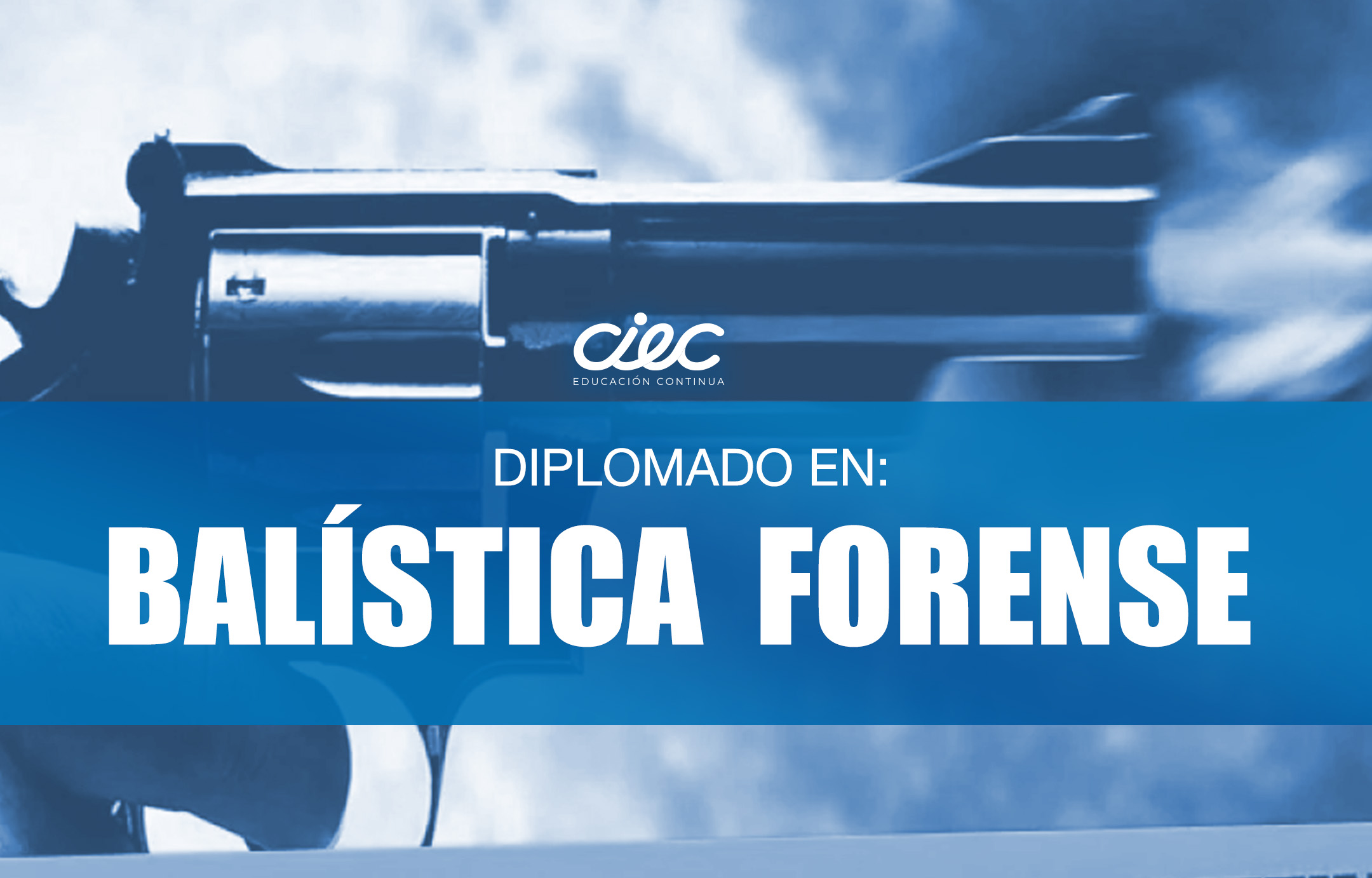 DIPLOMADO EN BALISTICA