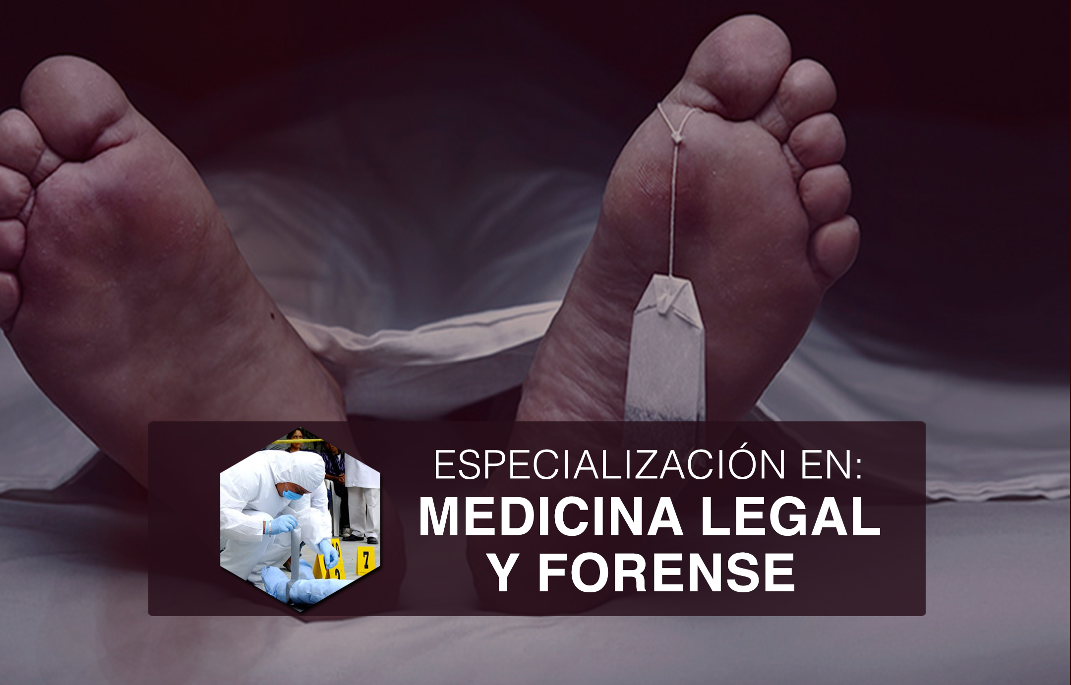 ALTA ESPECIALIZACION EN MEDICINA LEGAL Y FORENSE 