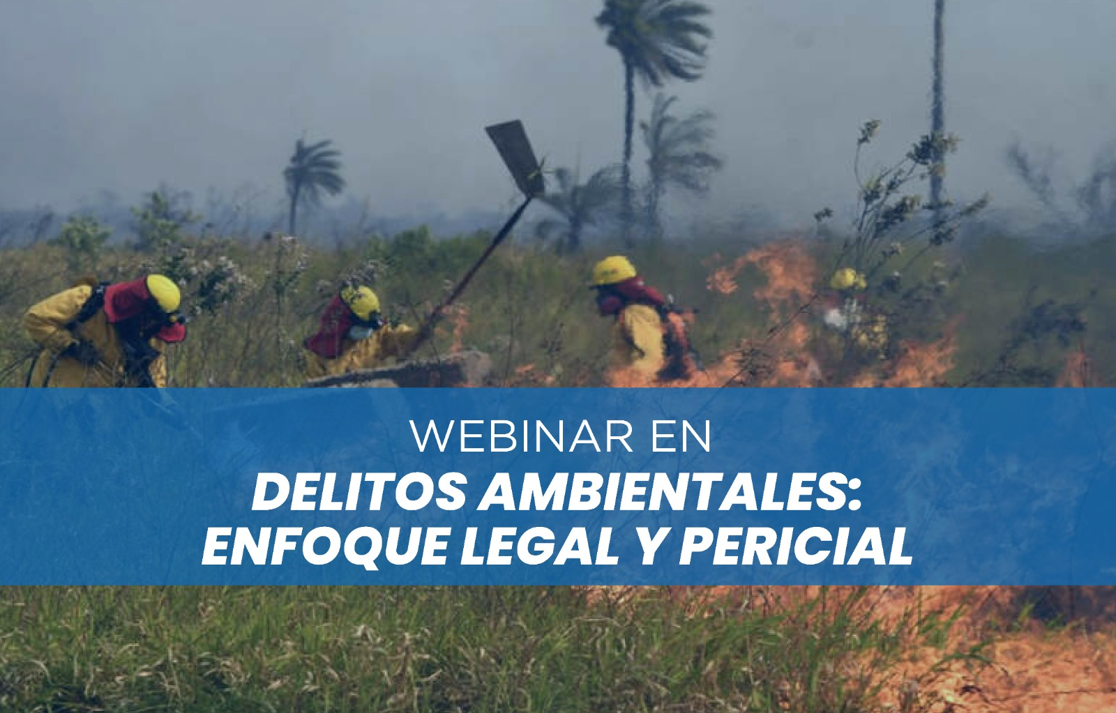 Webinar en Delitos Ambientales: Enfoque Legal y Pericial