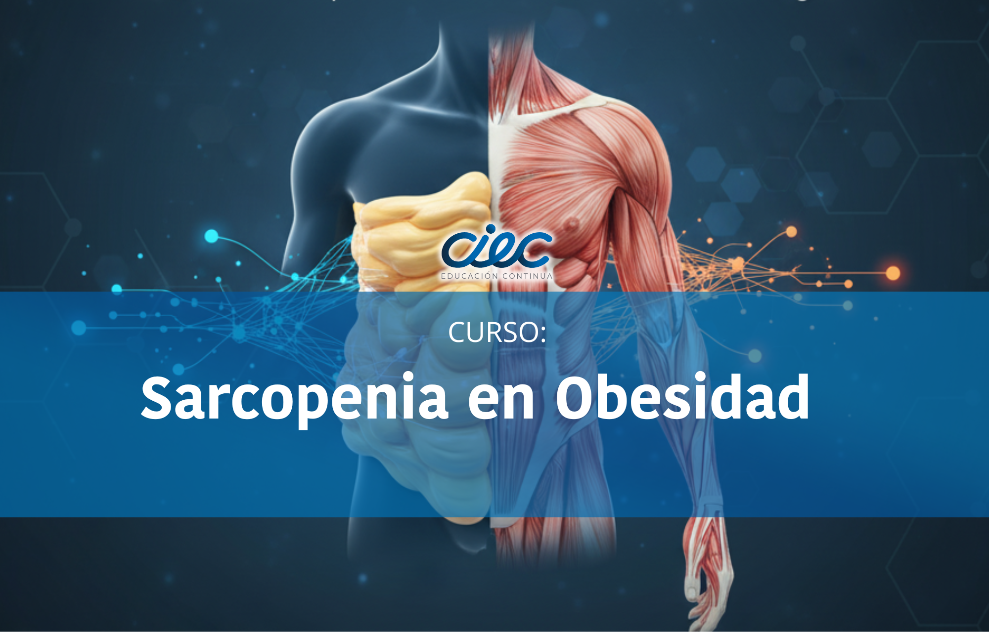 WEBINAR - Sarcopenia en Obesidad