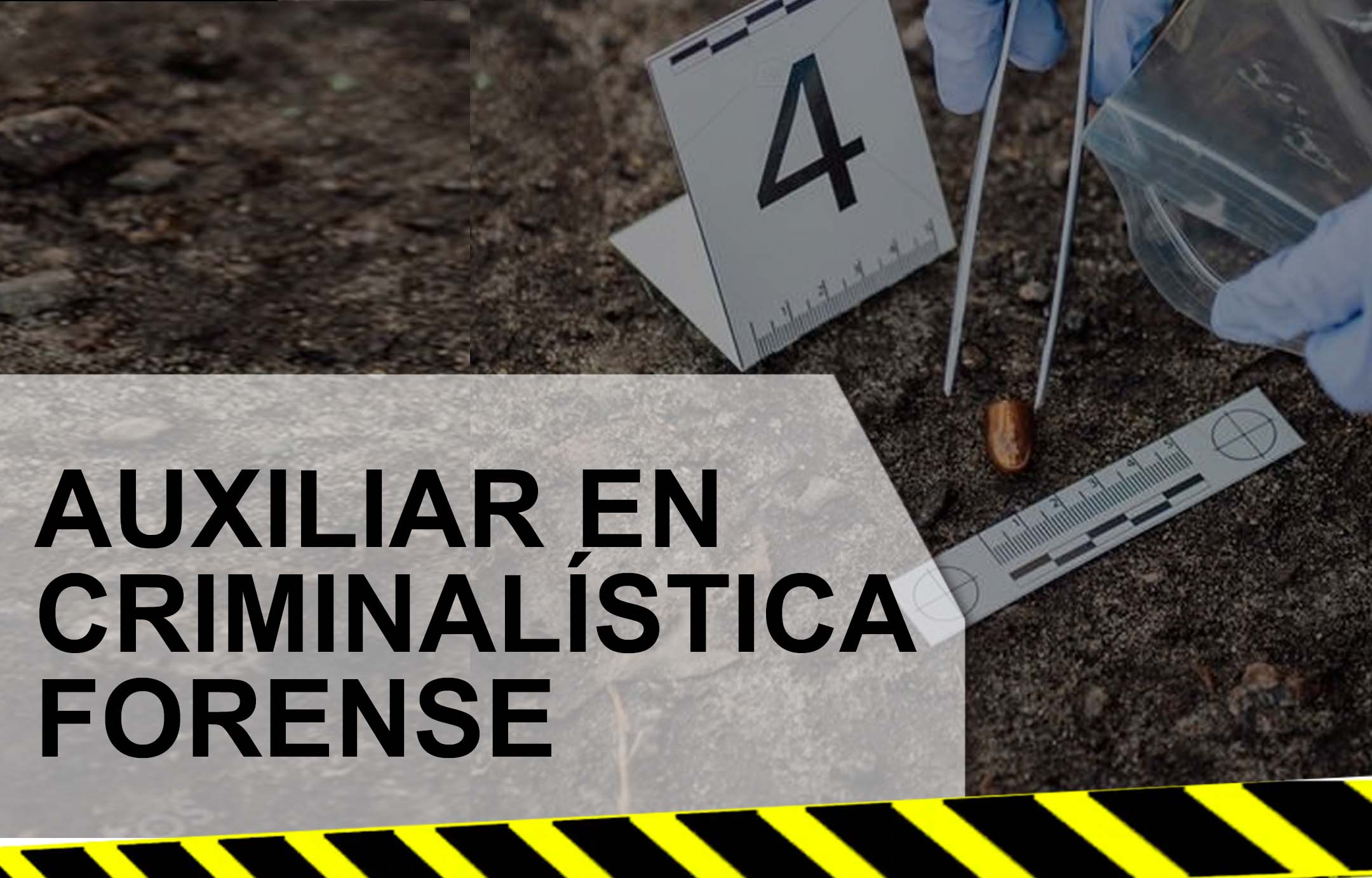 AUXILIAR EN CRIMINALISTICA FORENSE